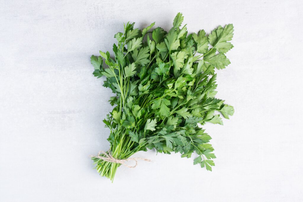 Fiche ingrédient Coriandre - Superfood - designed by Freepik