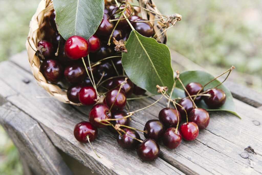 fiche ingrédient - cerise - superfood - designed by Freepik