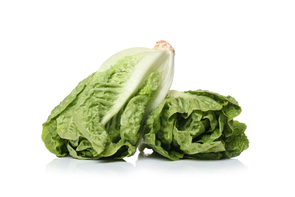 Laitue Romaine - fiche ingrédient Superfood - designed by Freepik