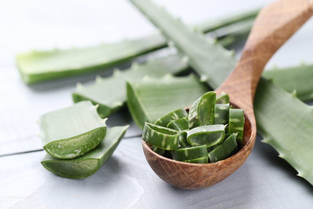 Fiche Superfood - Aloe vera 